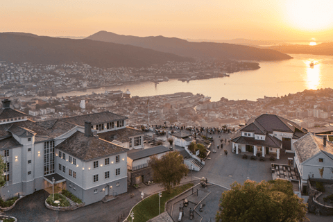 Bergen: Ulriken & Fløyen Tour (Cruise Friendly)