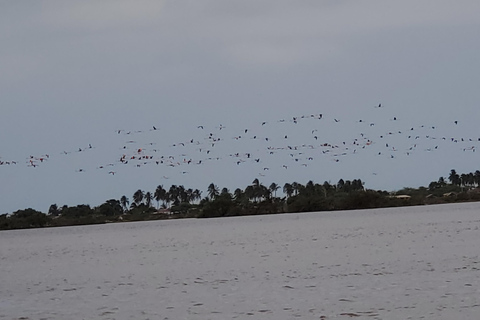 Santa Marta - Parc naturel national Los Flamingos