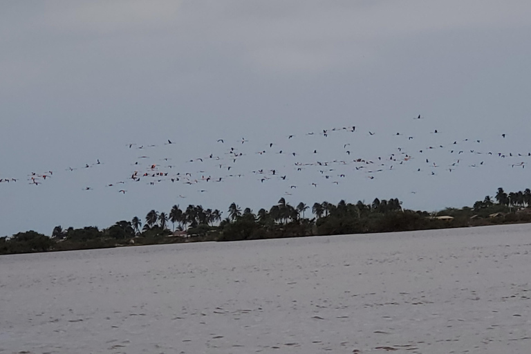 Santa Marta - Parc naturel national Los Flamingos