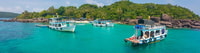 Phu Quoc, Pearl Farm, Coconut Prison, and Bai Sao Beach Tour - Housity