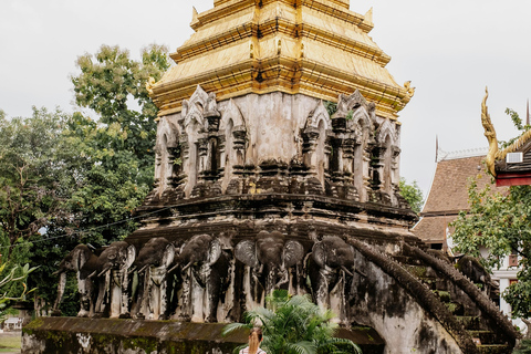 Chiang Mai: Temples & Old City Hidden Gems with local guide Private Tour (with transfer)