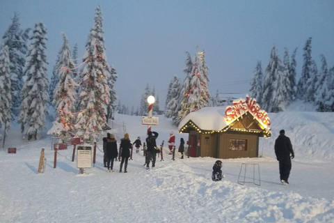 Vancouver Capilano Canyon ljus&amp;topp av julen i Grouse