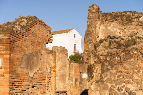 Pompeii: Guided Tour with Archaeologist and Lunch