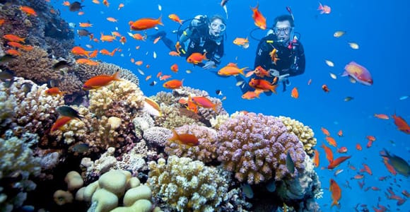 From Danang: Cham Island Day Trip with Snorkeling and Lunch