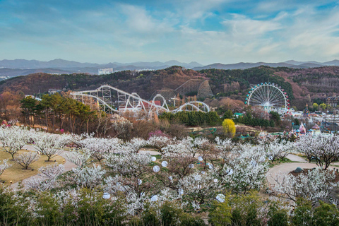 Billet d&#039;entrée au parc d&#039;attractions Everland