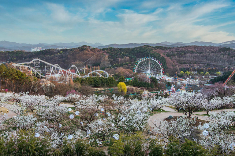 Billet d&#039;entrée au parc d&#039;attractions Everland