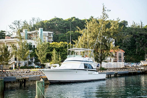 Puerto Plata: Deep-Sea Fishing Adventure