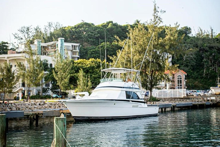 Puerto Plata: Deep-Sea Fishing Adventure
