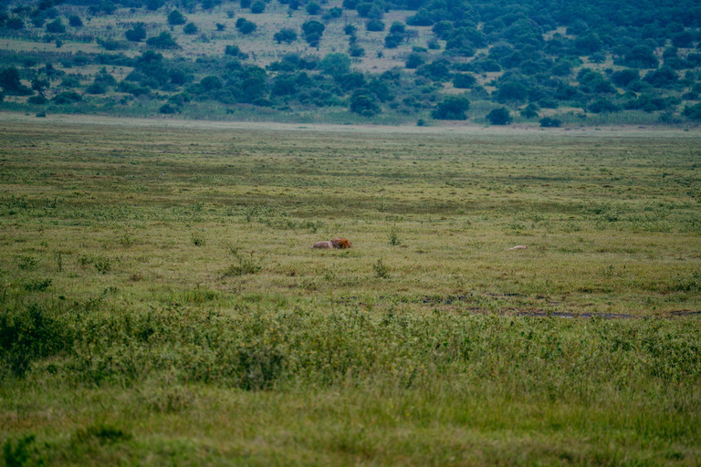 Kigali: Akagera National Park Safari with Boat Cruise