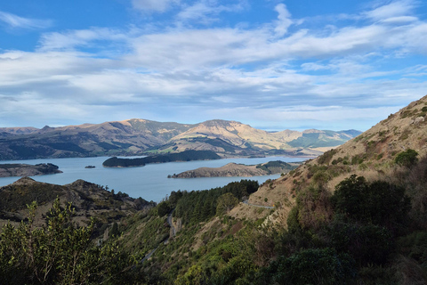 Christchurch Private Scenic Highlights Tour with Local Guide