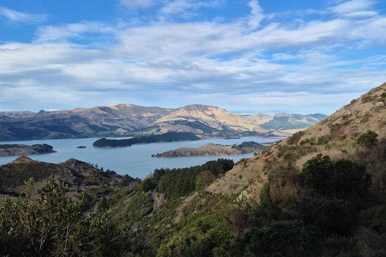 Christchurch Private Scenic Highlights Tour with Local Guide