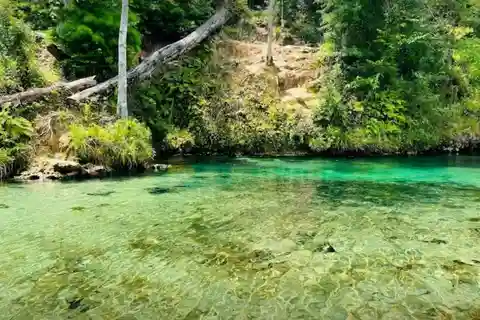 Youngstown, FL: Uthyrning av kanoter och kajaker på Econfina Creek