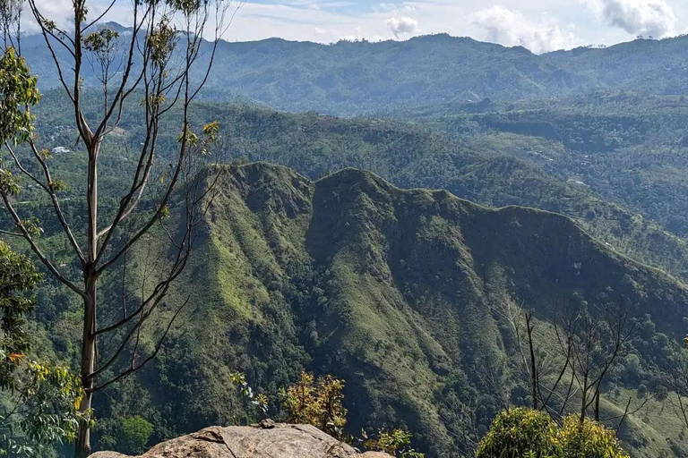 Ella: Pekoe Trail Stage 15 Guided Hike (Makulella to Ella)