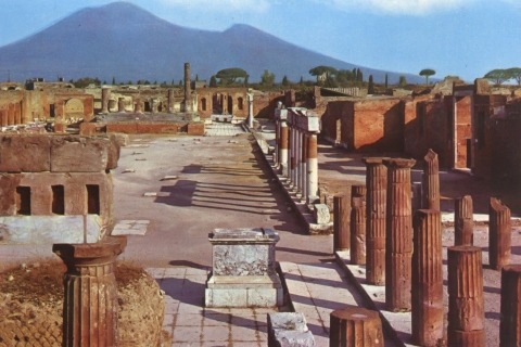 From Naples: Pompeii and Sorrento Full-Day Tour Tour in English with Cruise Port Meeting Point