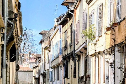 Tourist walk through the historic center of Troyes Sightseeing tour of the historic center of Troyes