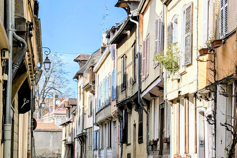 Tourist walk through the historic center of Troyes Sightseeing tour of the historic center of Troyes