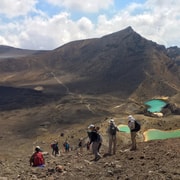 Tongariro Alpine Crossing: Round-Trip Shuttle Service