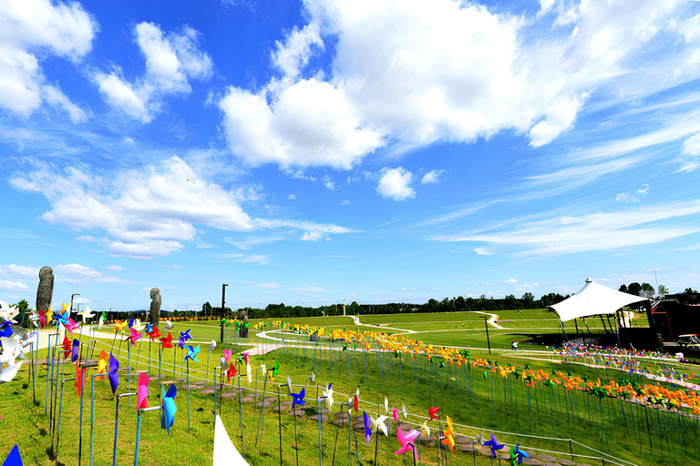 Seoul Private DMZ Tour with Former Elite ROK Security Expert Premium DMZ Tour (Private)