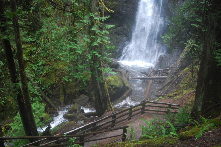Olympic National Park: Half-Day Tour