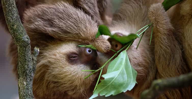 Stoneham, Massachusetts: Stone Zoo Entry Ticket photo 6