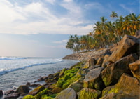 Exploring Varkala (Full Day Tour from Trivandrum by Car) - Housity
