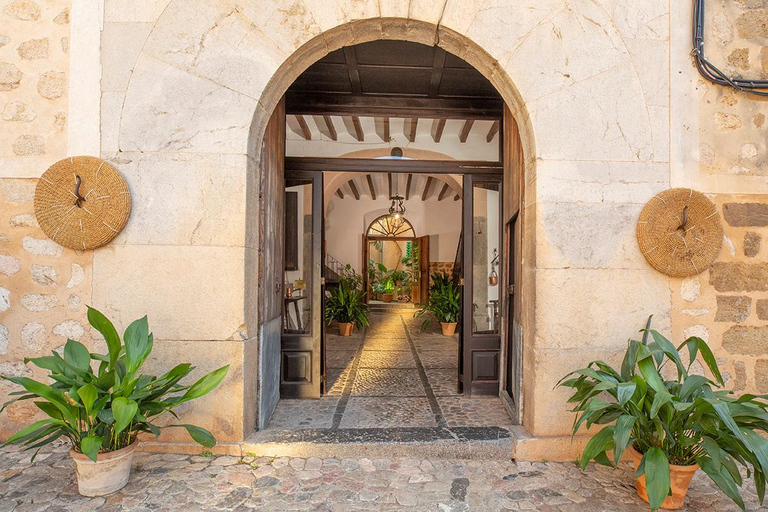 Sóller: Olijfolie proeverij en brunch bij Can Det Estate