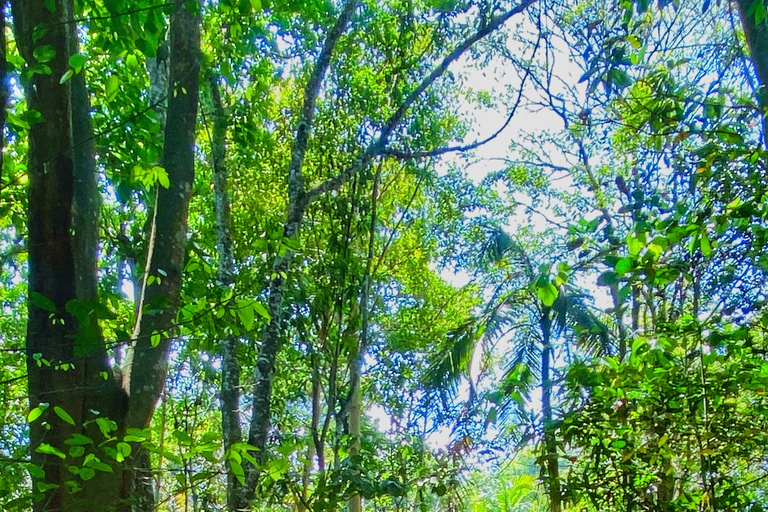 Explore the Magic of Tayronaka: Indigenous Culture, Nature and Adventure