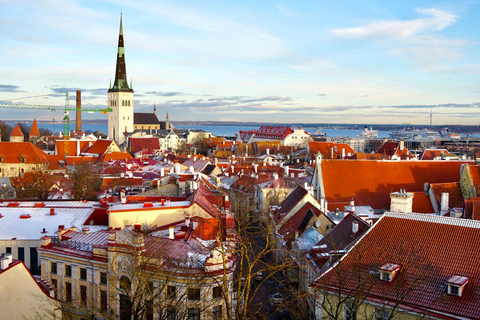 Luxury Day Trip to Tallinn with Lounge Access, Lavish Buffet