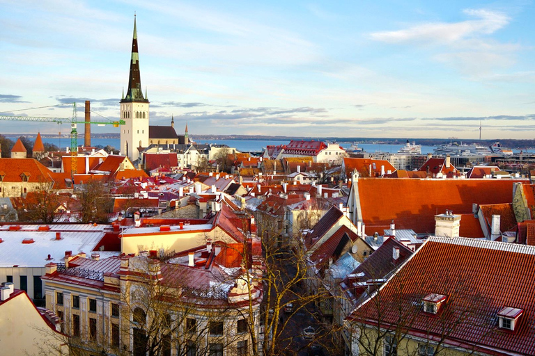 Luxury Day Trip to Tallinn with Lounge Access, Lavish Buffet