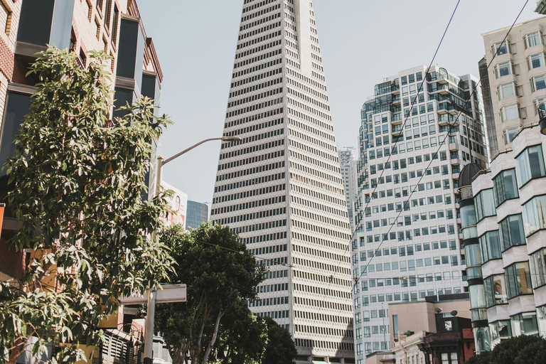 Bilbao: Shore Excursion with Guggenheim Museum Visit