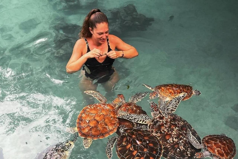 Zanzibar: Jozani forest, Butterfly center & Salaam cave tour Tour with Hotel pick up and drop off included