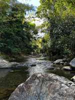 Fajardo, El Yunque Forest Hike, Waterfalls & Waterslide Tour - Housity