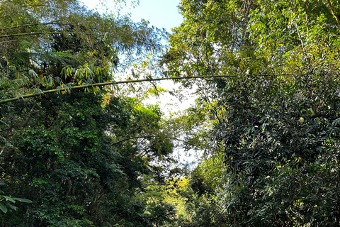 Fajardo : randonnée dans la forêt d'El Yunque, chutes d'eau et toboggan aquatiqueFajardo : Randonnée dans la forêt d'El Yunque, chutes d'eau et toboggan aquatique