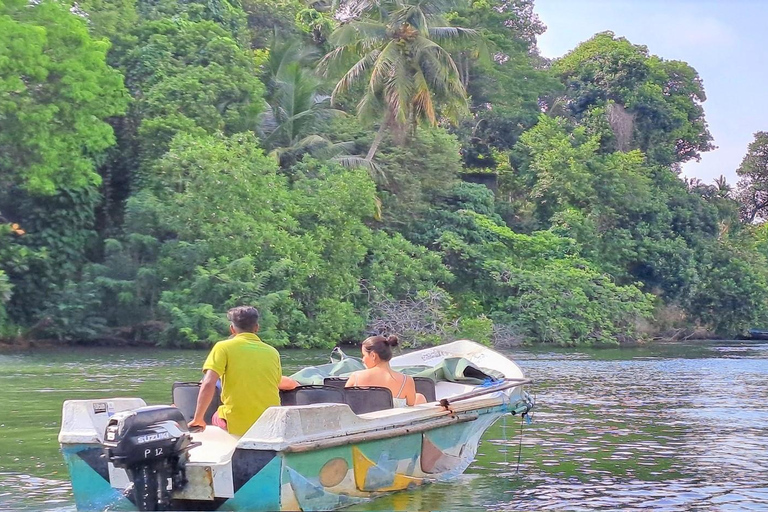 Pacchetto turistico di 14 giorni in Sri LankaPacchetto tour di 14 giorni: copertura completa della parte migliore dello Sri Lanka