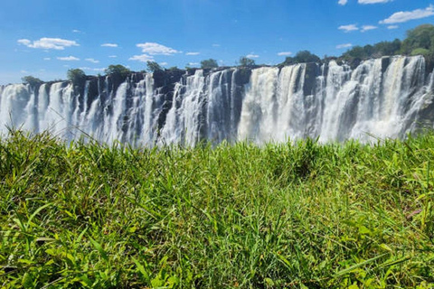 Sunrise Tour of Victoria Falls via Big Tree & Falls Bridge