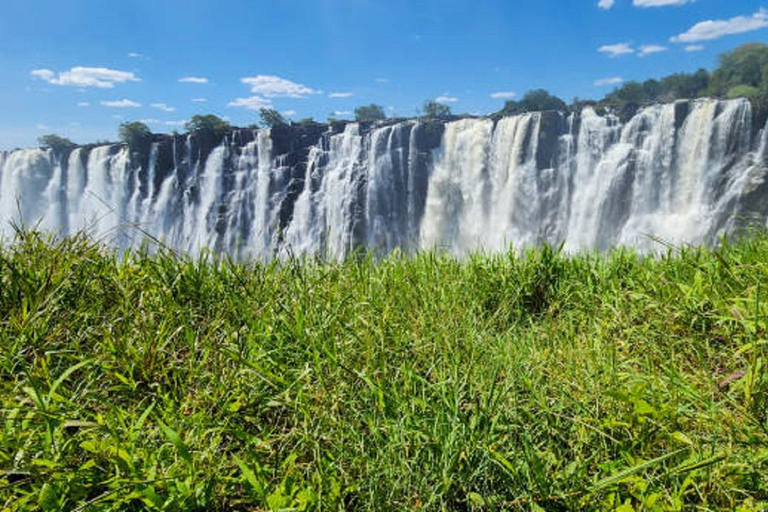 Sunrise Tour of Victoria Falls via Big Tree & Falls Bridge