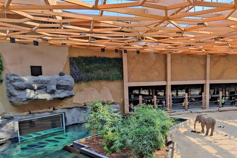 Łódź: City Highlights Private Tour & Orientarium Zoo Visit