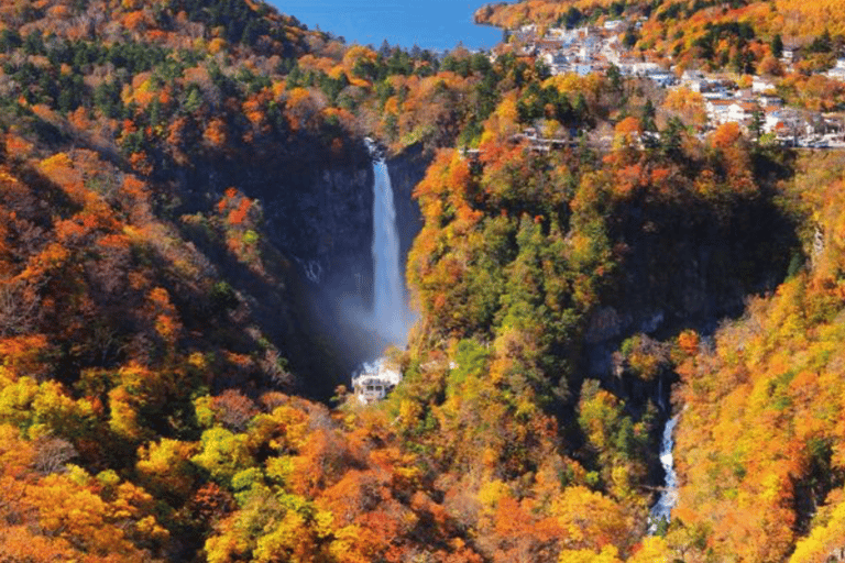 From Tokyo: Nikko Private Tour with Toshogu Shrine & Falls