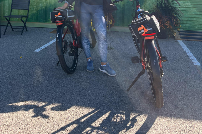 Niagara Benchlands: Ebike Tour with Wine Tastings