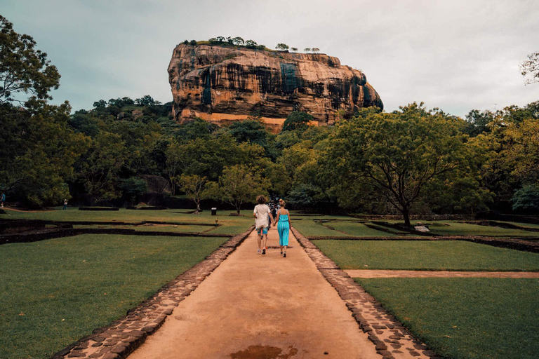 Sigiriya Dambulla Minneriya Safari Private Full Day Tour Pick up from Kandy or Matale Hotels