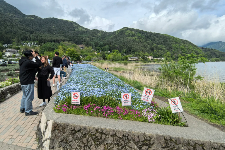 Tokyo: Mt. Fuji & Lake Kawaguchi Small Group Tour - 6 Spots Hotel Pickup Option