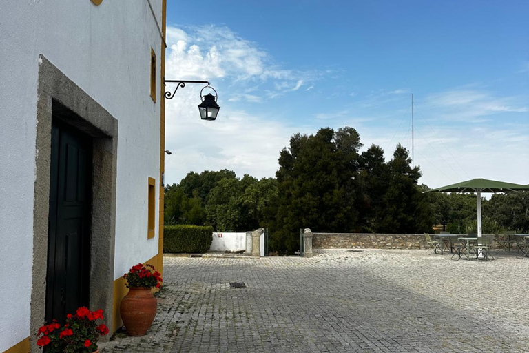 Lisbon: Évora (w/ Cathedral & Bones), Cartuxa & Cork Factory