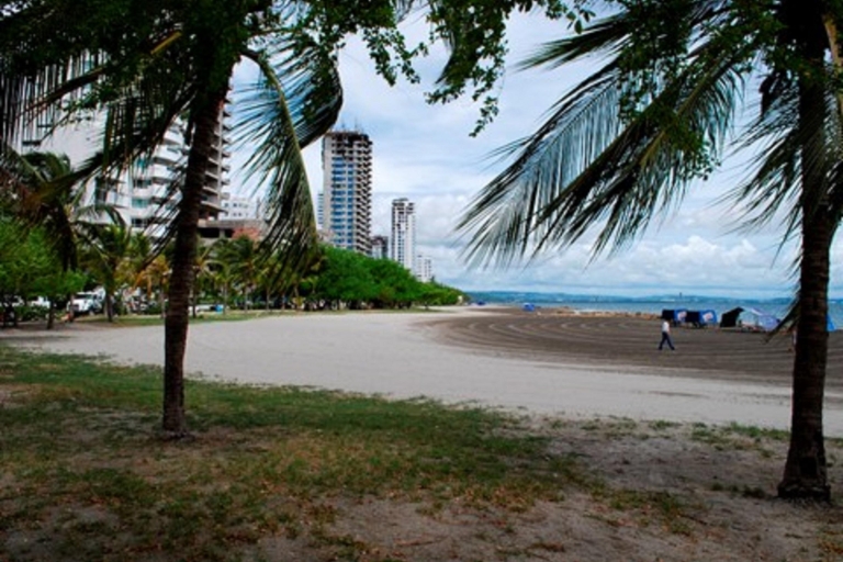 Cartagena: Ciesz się morzem, areną i kajakiem