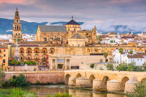 Córdoba: Visit to the Caliphate of Córdoba, Jewish Quarter and Exterior of the Mosque Private Tour from Málaga: Cordoba's Caliphate and Jewish Quarter