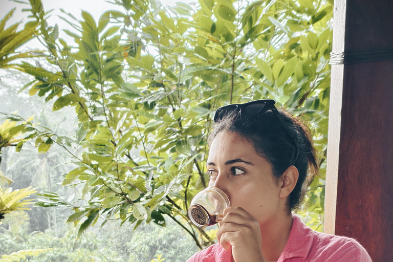 Bali: Private Jungle Swing, Waterfall & Rice Paddy Tour Private Tour with Entrance Fess