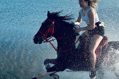 الغردقة: جولة ركوب الخيل في الصحراء والبحر مع خيار السباحةجولة لمدة ساعتين لركوب الخيل بدون السباح