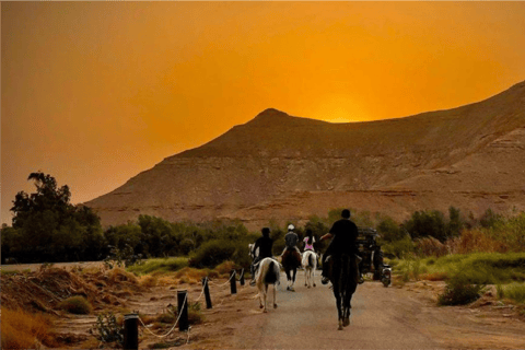 Riyadh: Farm Adventure with ATV Ride, Horse Riding, & Lunch