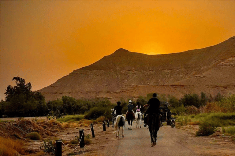 Riyadh: Farm Adventure with ATV Ride, Horse Riding, & Lunch