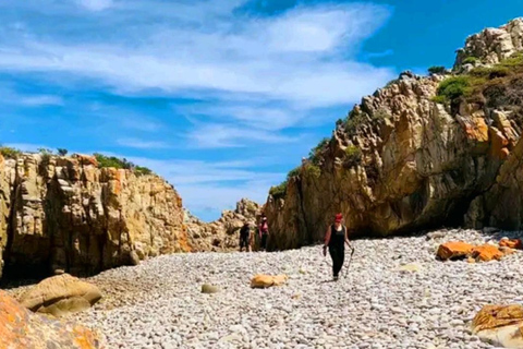 Senderismo Costero Sendero Sacramento: Puerto Elizabeth