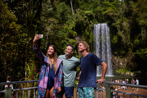 Från Cairns: Atherton Tablelands Eco-äventyr och simtur